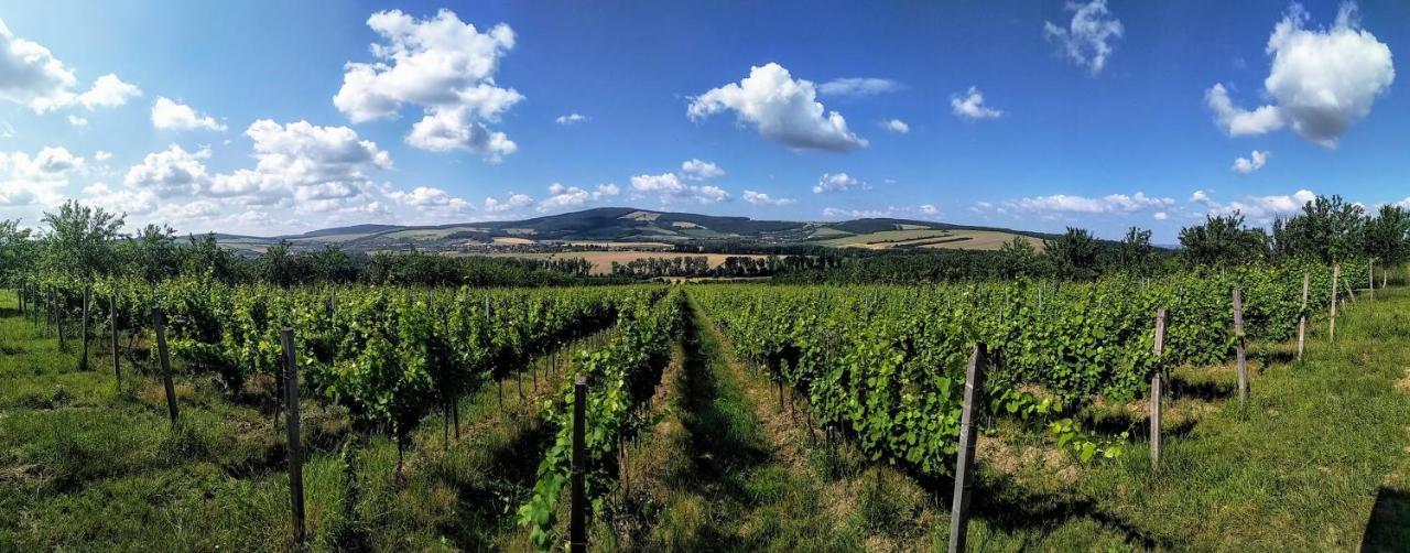 Penzion v rodinném vinařství Kadubcovi Lipov Exteriér fotografie